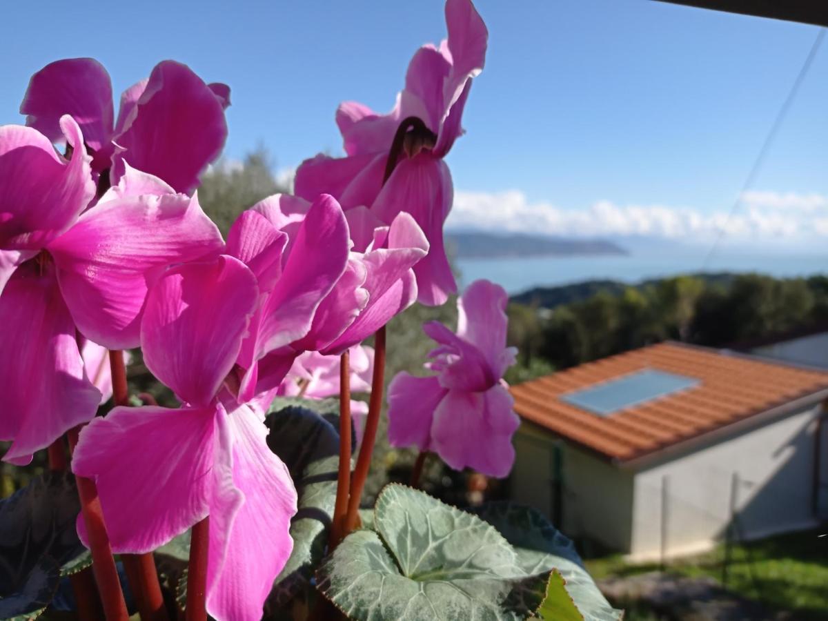 Le Vigne Di Lenf Apartment Porto Venere Ngoại thất bức ảnh