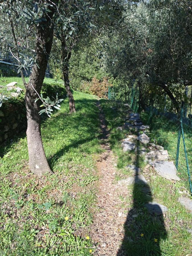 Le Vigne Di Lenf Apartment Porto Venere Ngoại thất bức ảnh